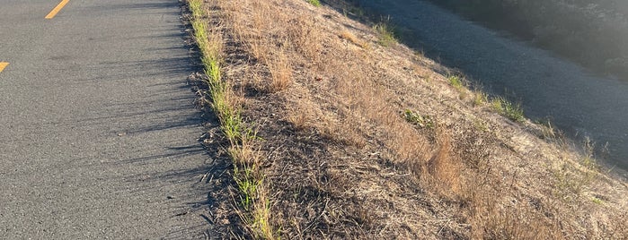 Coyote Creek Trail is one of Local Park.