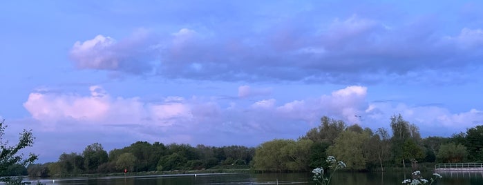 Colwick Country Park is one of nature.