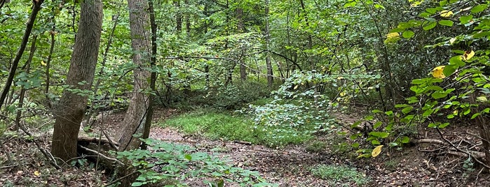 Oregon Ridge Park is one of For runners.