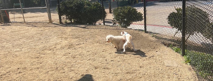 The Bone Yard is one of Dog friendly parks.