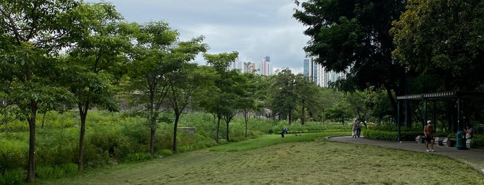 Nam Cheong Park is one of HK.