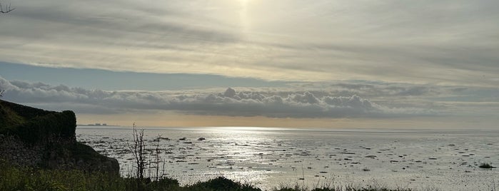 Silverdale Shore is one of Explore nature.