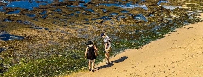 Praia do Paraíso is one of Portugal Carvoeiro.