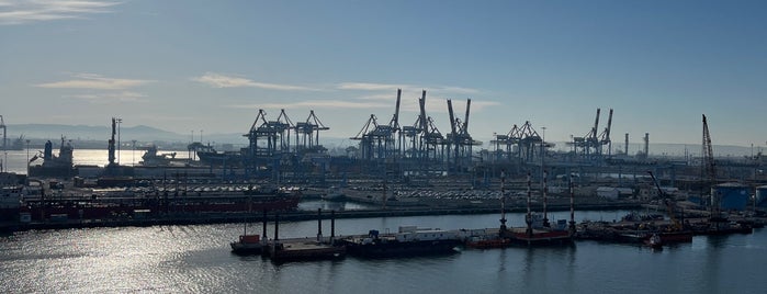 Port of Haifa is one of Haifa.