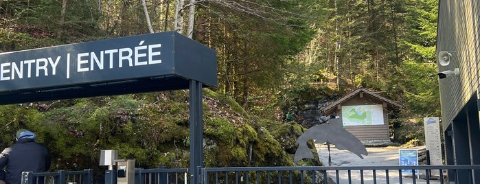 Naturpark Blausee is one of Gezi & Seyahat.