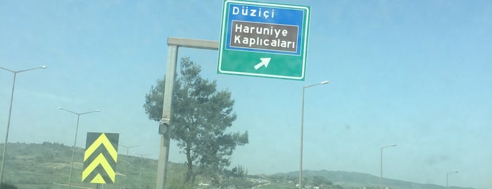 Düziçi is one of mekan.