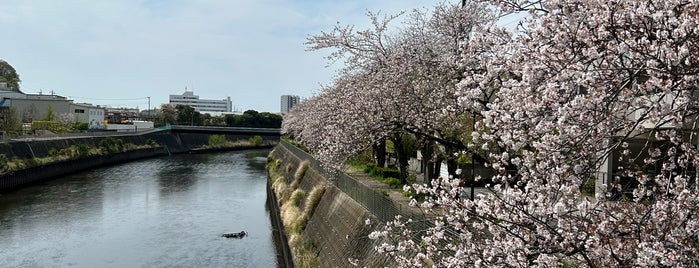 新川名橋 is one of 境川ポタ♪.