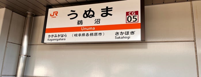Unuma Station is one of 東海地方の鉄道駅.
