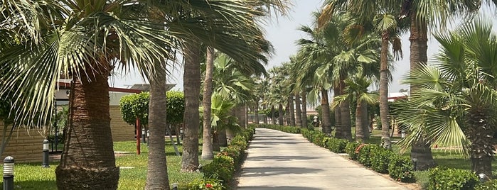 Sheraton Red Sea Beach Club is one of Jeddah.