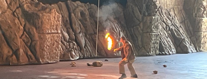 Indiana Jones Epic Stunt Spectacular! is one of must do on vacation.