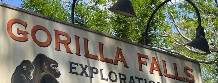 Gorilla Falls Exploration Trail (Pangani) is one of Animal Kingdom.