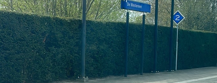 Station De Westereen is one of Check in's 13C1D.