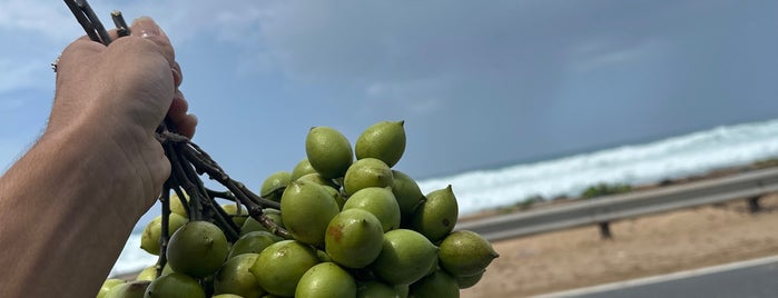 Playa Aviones is one of San Juan.