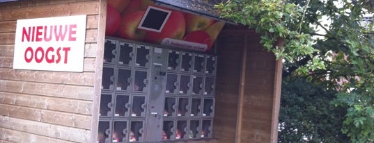 FruitMachine is one of Favo Food Maas&Waal.