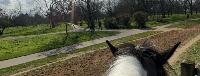 Hyde Park Stables is one of 1000 Things To Do In London (pt 4).