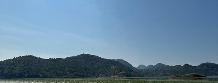 Skadarsko jezero is one of Lieux qui ont plu à Viktoria.