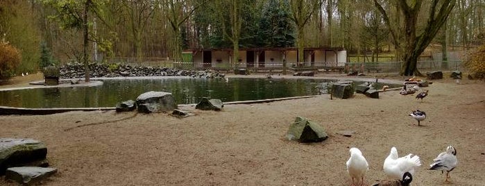 Wildpark Tannenbusch is one of Tempat yang Disukai Markus.