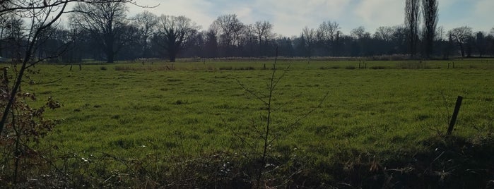 Kasteel Twickel is one of Kastelen & Landgoederen.