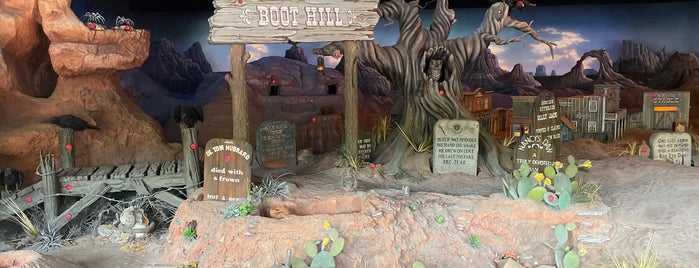Frontierland Shootin' Exposition is one of US TRAVELS ANAHEIM.