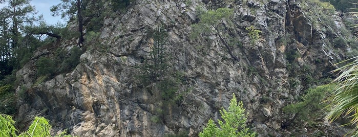 Muhtarın Yeri Çakırlar is one of Lieux qui ont plu à Burcu.