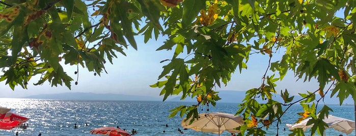 Gün Batımı Plajı is one of Yol Tesisleri.