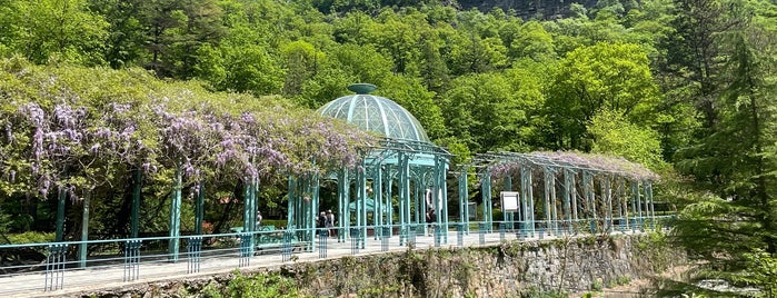 Парк «Боржоми» is one of Грузия | Georgia.