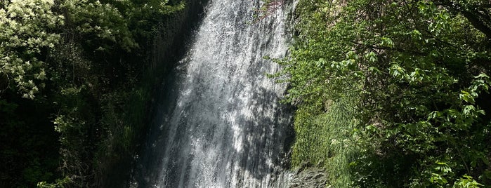 Waterfall in Botanical Garden is one of Georgia.