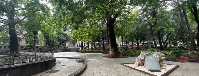 9 April Park | 9 აპრილის ბაღი is one of Тбилиси.