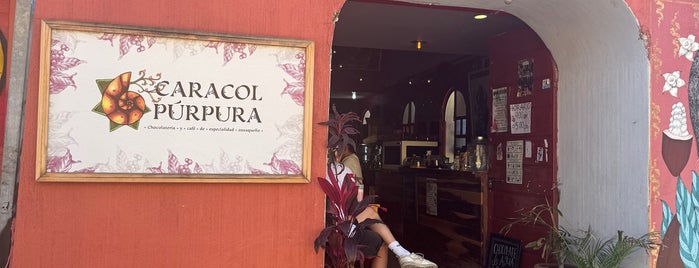 Caracol Púrpura Café is one of OAX.