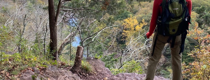 High Rocks is one of Dog Activities.