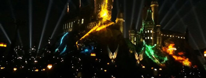 The Wizarding World of Harry Potter is one of Lugares favoritos de Rafa.