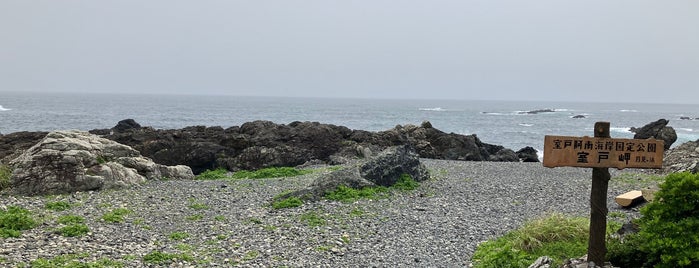 室戸岬 月見ヶ浜 is one of 自然地形.