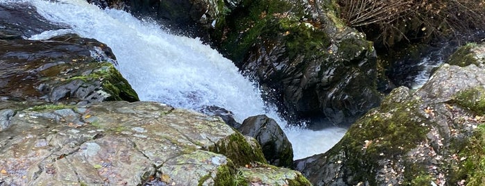Aira Force is one of Lake Area.