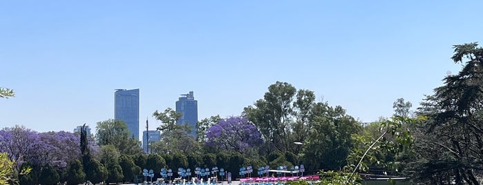 Lago de Chapultepec is one of Mexico City.
