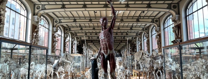 Galerie de Paléontologie et d'Anatomie comparée is one of paris.