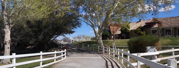 Spring Mountain Ranch State Park is one of Las Vegas must do.