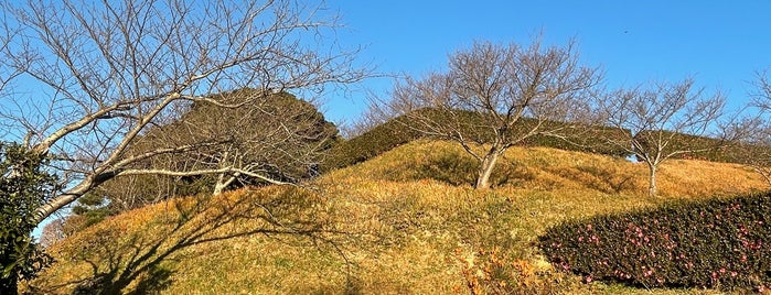 横須賀城跡公園 is one of 訪問済みの城2.