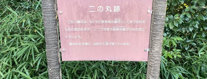 東条城跡 (古城公園) is one of 「どうする家康」ゆかりのスポット.