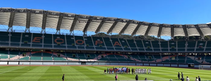 Shizuoka Ecopa Stadium is one of I visited the Stadiums in the World.