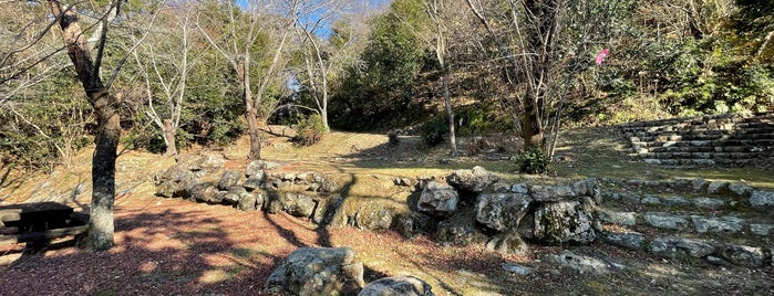 鳥羽山公園 is one of 訪問済みの城.
