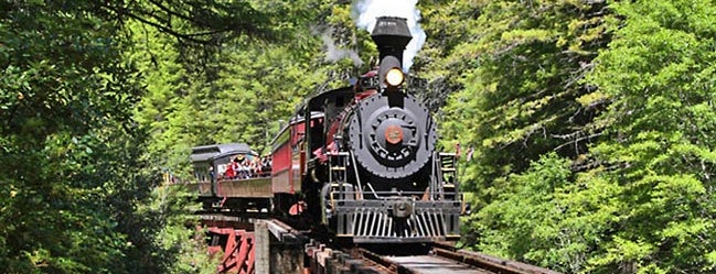 The Skunk Train is one of NorCal Things To Do.
