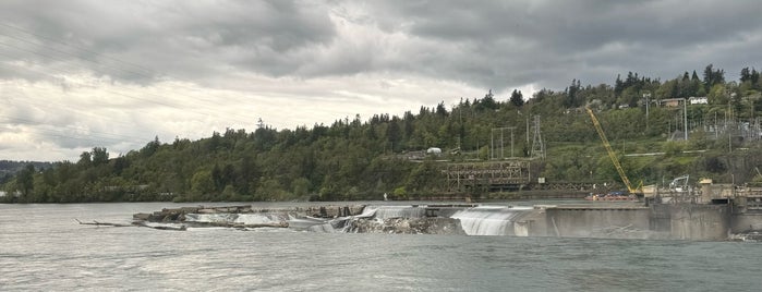 Willamette Falls View Point is one of Pdx-ing.