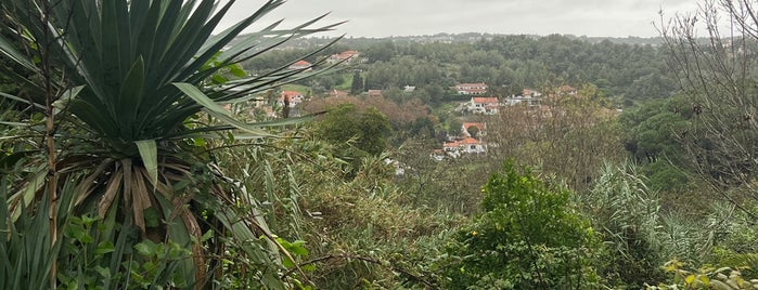 Quinta de São Thiago is one of Turismo Rural.