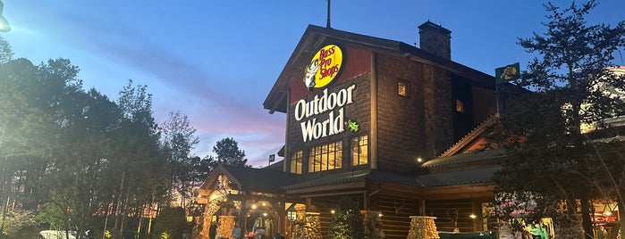 Bass Pro Shops is one of Some of my favorite places.