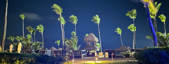 Excellence Punta Cana is one of punta cana Dominican republic.
