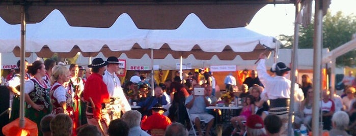 2012 Polish Festival is one of Great Festivals Across United States.