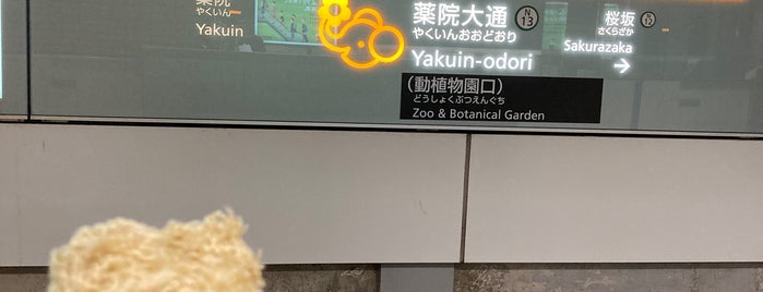 Yakuin-odori (Zoo & Botanical Garden) Station (N13) is one of 福岡市営地下鉄.