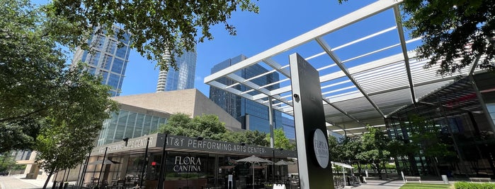 Dallas Arts District is one of Downtown Dallas.