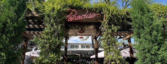 Paradiso is one of Dallas food atmosphere.