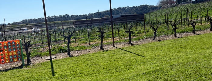 Dark Star Cellars is one of Wine, wineries & vineyards.